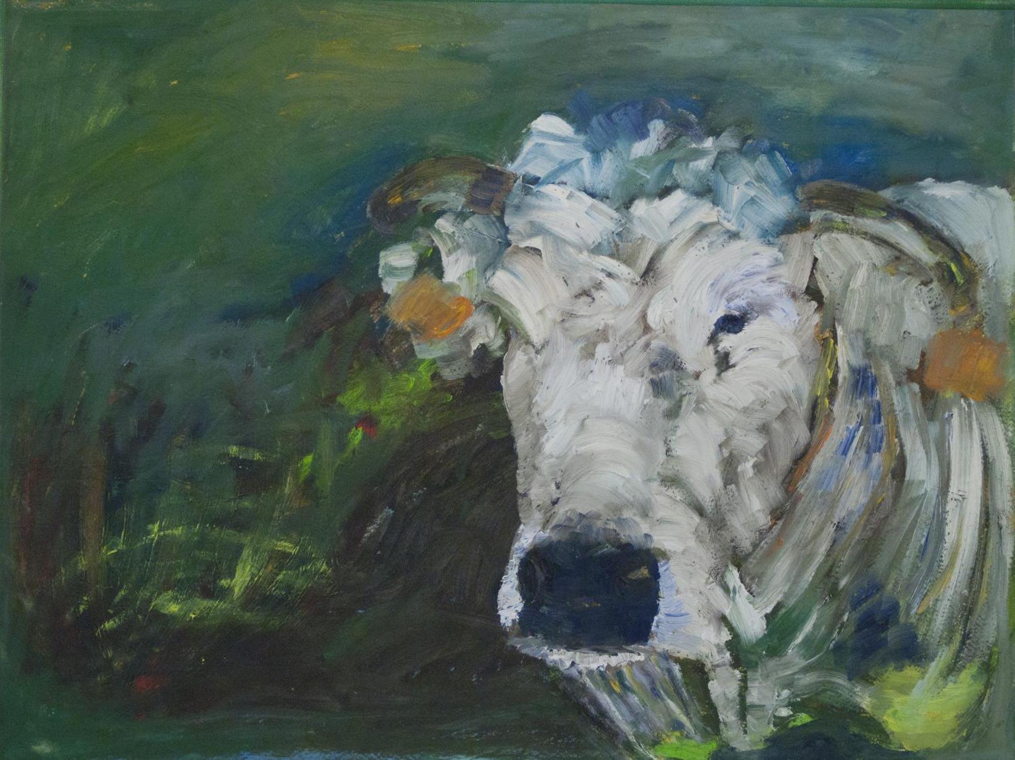 Farm Overleekerhoeve Monnickendam Εξωτερικό φωτογραφία